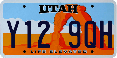 UT license plate Y129QH