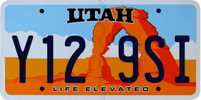 UT license plate Y129SI