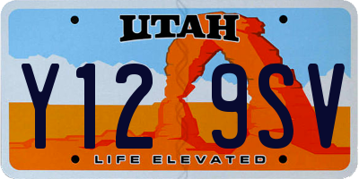 UT license plate Y129SV