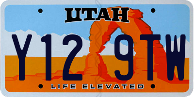 UT license plate Y129TW