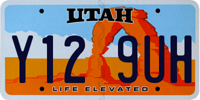 UT license plate Y129UH