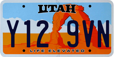 UT license plate Y129VN