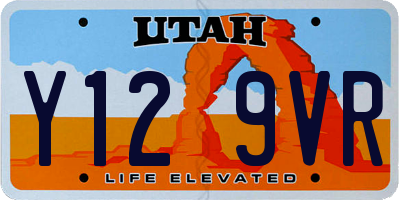 UT license plate Y129VR