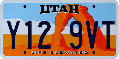 UT license plate Y129VT