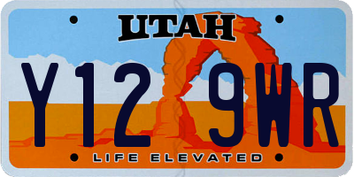 UT license plate Y129WR