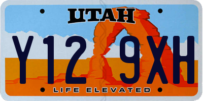 UT license plate Y129XH