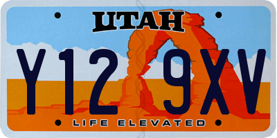 UT license plate Y129XV