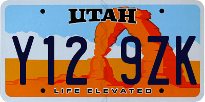 UT license plate Y129ZK