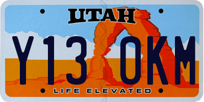 UT license plate Y130KM