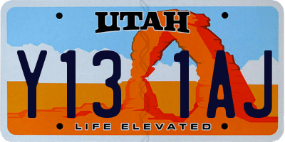 UT license plate Y131AJ