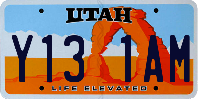 UT license plate Y131AM