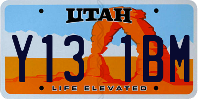 UT license plate Y131BM