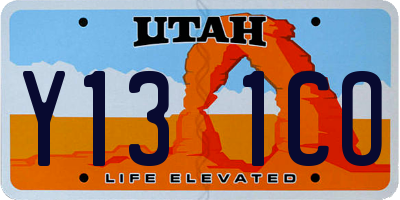 UT license plate Y131CO