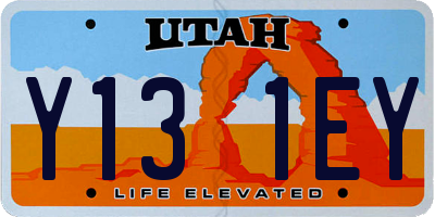 UT license plate Y131EY