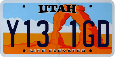 UT license plate Y131GD