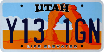 UT license plate Y131GN