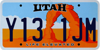 UT license plate Y131JM
