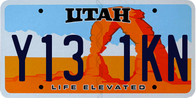 UT license plate Y131KN