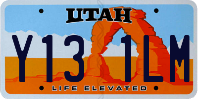 UT license plate Y131LM