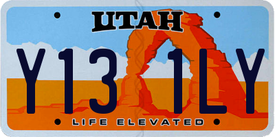 UT license plate Y131LY