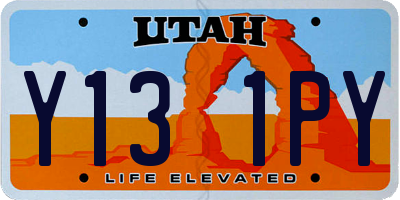 UT license plate Y131PY