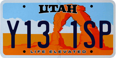 UT license plate Y131SP