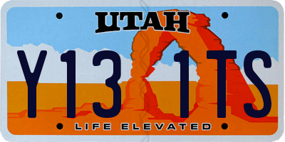 UT license plate Y131TS