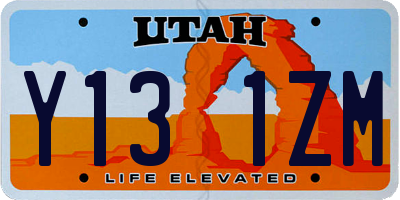 UT license plate Y131ZM