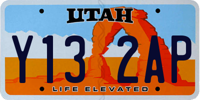 UT license plate Y132AP