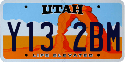 UT license plate Y132BM