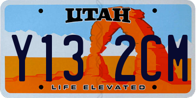 UT license plate Y132CM