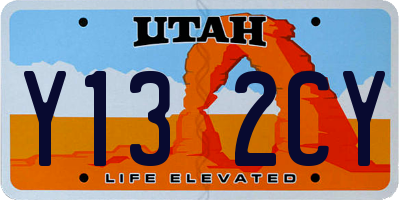 UT license plate Y132CY