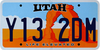 UT license plate Y132DM