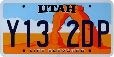 UT license plate Y132DP