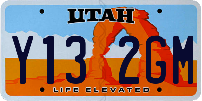 UT license plate Y132GM
