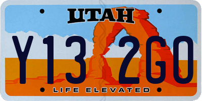 UT license plate Y132GO