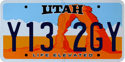 UT license plate Y132GY