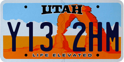 UT license plate Y132HM
