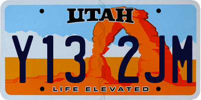 UT license plate Y132JM