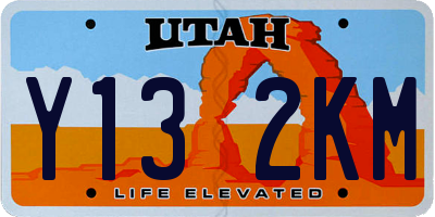 UT license plate Y132KM