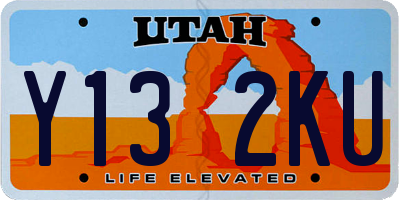 UT license plate Y132KU