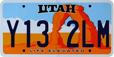 UT license plate Y132LM