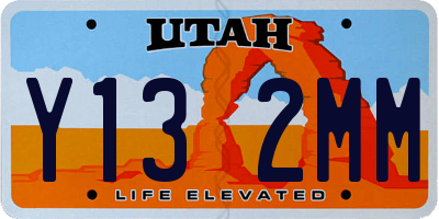 UT license plate Y132MM