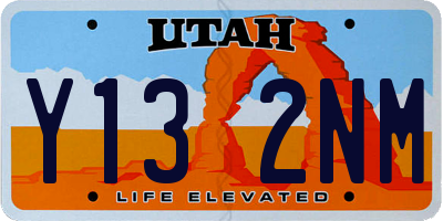 UT license plate Y132NM