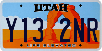 UT license plate Y132NR
