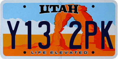 UT license plate Y132PK