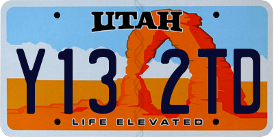 UT license plate Y132TD