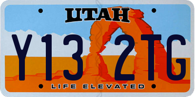 UT license plate Y132TG