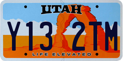 UT license plate Y132TM