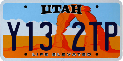 UT license plate Y132TP